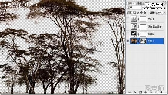photoshop抠图教程-利用反相操作抠出复杂树木