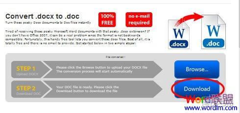 点击“Download”下载转换成功的Doc文件