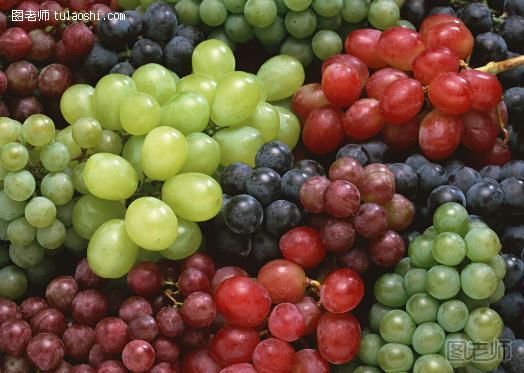 提子与葡萄的区别_提子与葡萄的营养价值