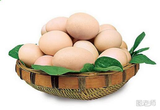 禽蛋类的介绍-蛋的基本常识