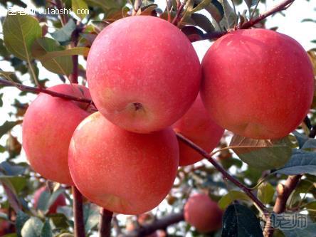 哺乳期能吃苹果吗？哺乳期吃苹果有什么好处