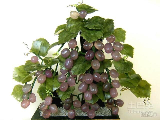 盆栽葡萄的管理