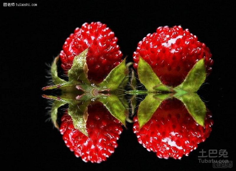 蛇莓图片