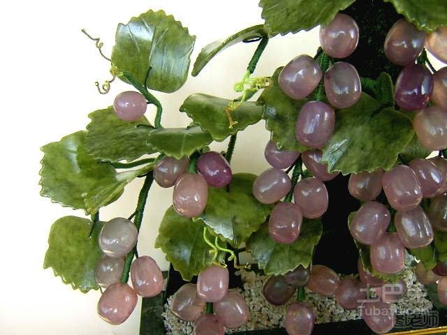 盆栽葡萄的管理