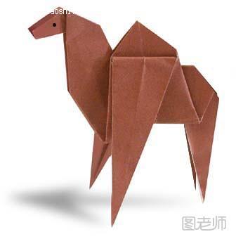 骆驼的折法