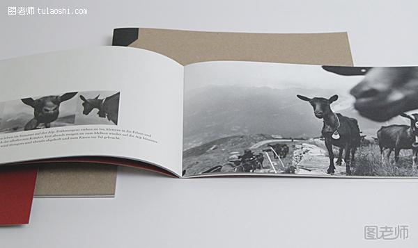 Heinz Wild Design,画册设计,平面设计,画册作品