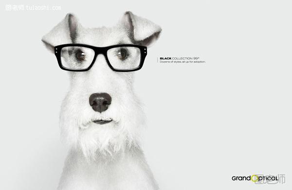 有狗狗参与的创意平面广告
