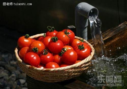常吃番茄能够帮助促进消化