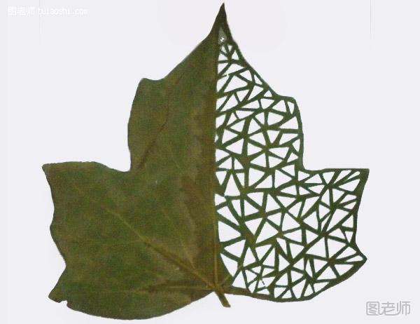 Cut-Away Leaf Art 树叶镂空艺术