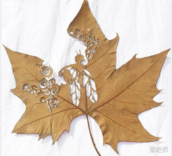 Cut-Away Leaf Art 树叶镂空艺术