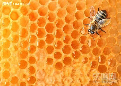花粉过敏怎样喝蜂蜜