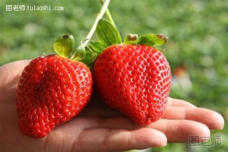 如何自制草莓补水面膜 草莓的功效与作用