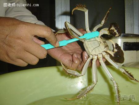 【夏季生活小窍门】 螃蟹的洗法步骤图解