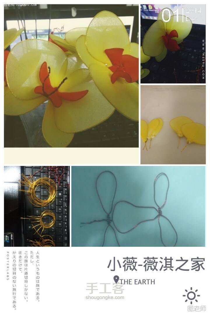 手工编织图片教程 奔向幸福的蝴蝶兰制作