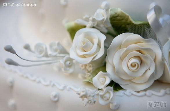 白玫瑰代表什么意思 白玫瑰花语及种植方法