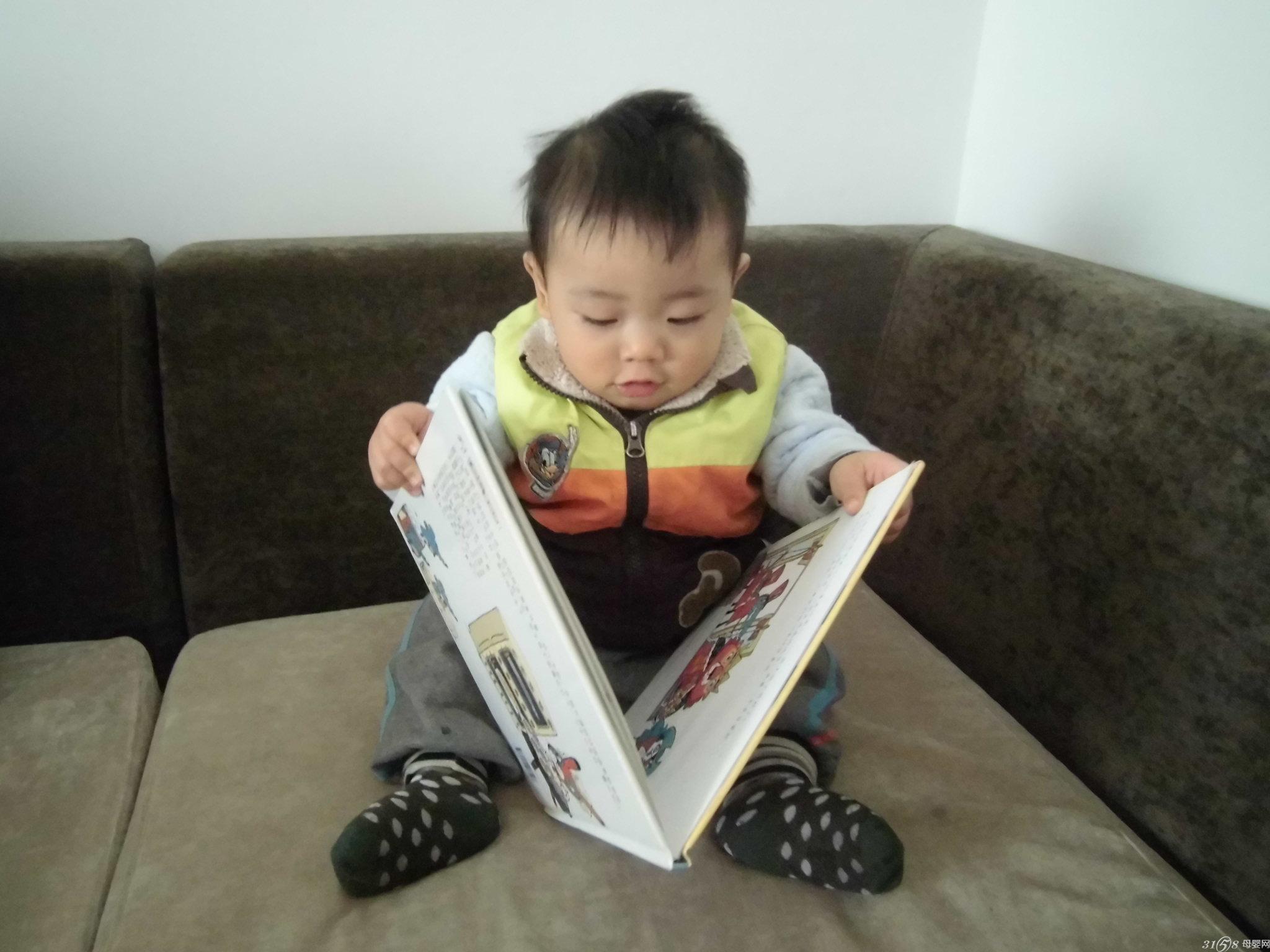 如何提高宝宝阅读理解能力