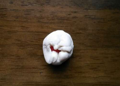 步骤2:红色粘土搓成圆球，然后将白色粘土包裹住红色粘土