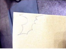 3.在反面画出一半蝙蝠图画，效果如图所示。