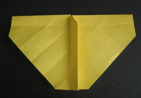 过程19:将折纸平放就成为如图所示的样子了。