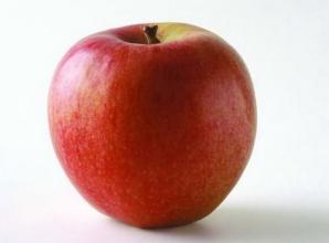 晚上吃苹果能减肥吗