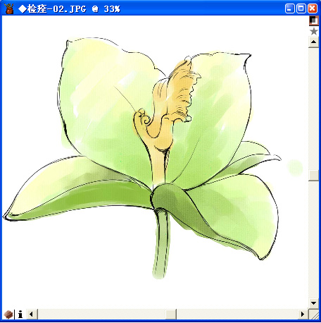 Painter教程：配合数码板绘制一朵美丽的百合花_中国