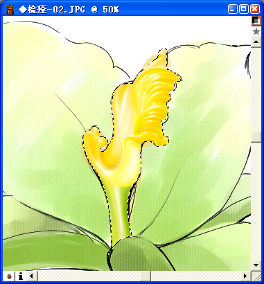 Painter教程：配合数码板绘制一朵美丽的百合花_中国