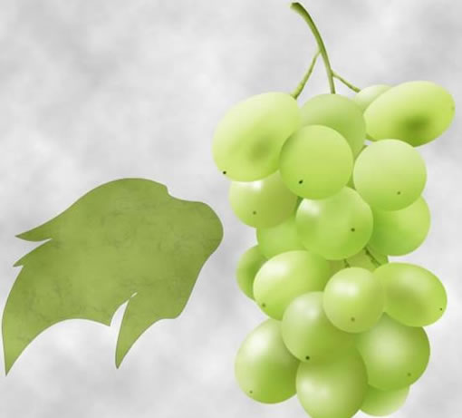 Photoshop鼠绘实例之鲜美葡萄绘制教程