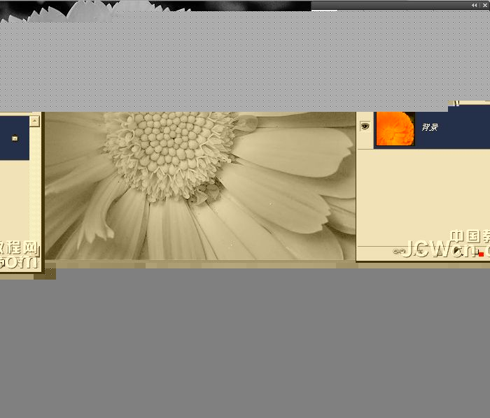 Photoshop美化教程：10秒找回花朵颜色层次和锐度_中国