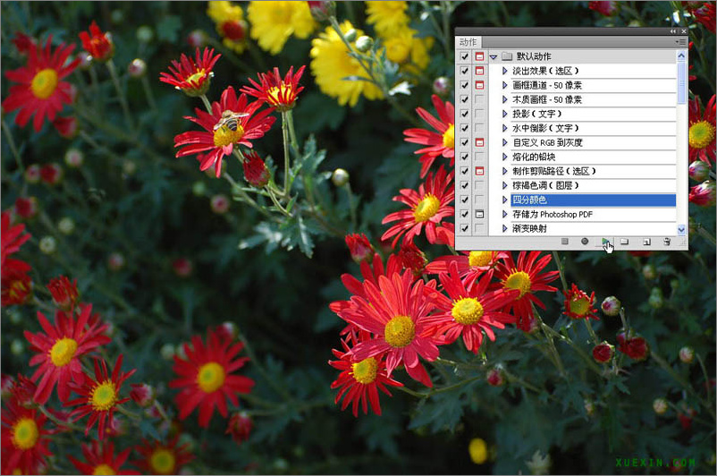 Photoshop CS4基础教程：熟悉动作的运用，提高工作效率_中国