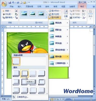 Word2007教程：教你在文档中为图片设置立体棱台效果_中国