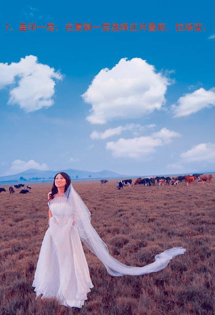 Photoshop教程：合成调色打造唯美兰紫色婚片_中国