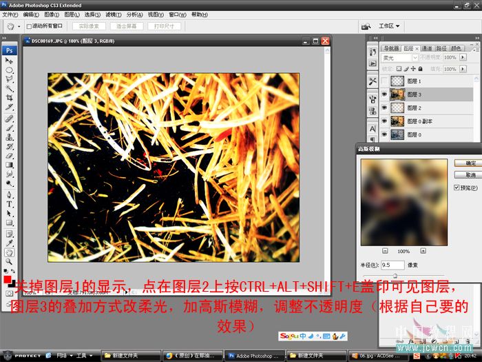 Photoshop调色教程：在那油菜丰收的时节_中国