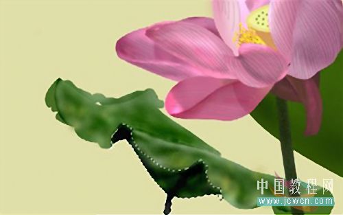Photoshop鼠绘教程：绘制亭亭玉立的荷花_中国