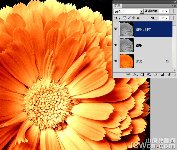 Photoshop美化教程：10秒找回花朵颜色层次和锐度_中国
