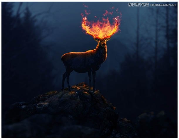 Photoshop合成头顶火焰燃烧效果的森林鹿王,PS教程,图老师教程网