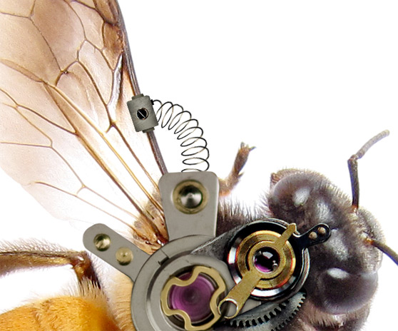 Photoshop合成逼真的机械小蜜蜂教程,PS教程,图老师教程网