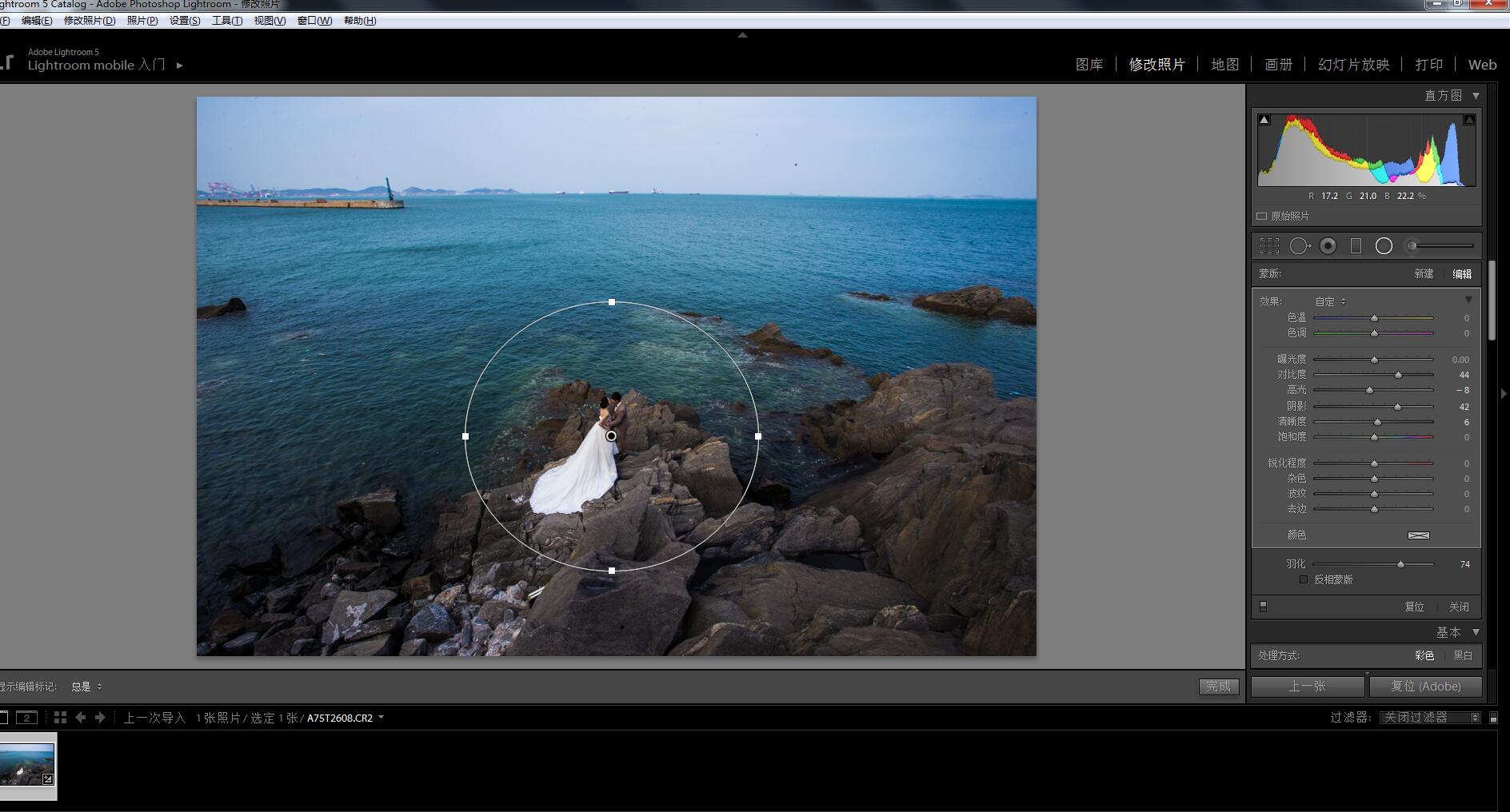 Photoshop调出时尚大气的海边婚纱人像效果,PS教程,图老师教程网