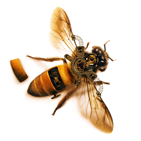 Photoshop合成逼真的机械小蜜蜂教程,PS教程,图老师教程网