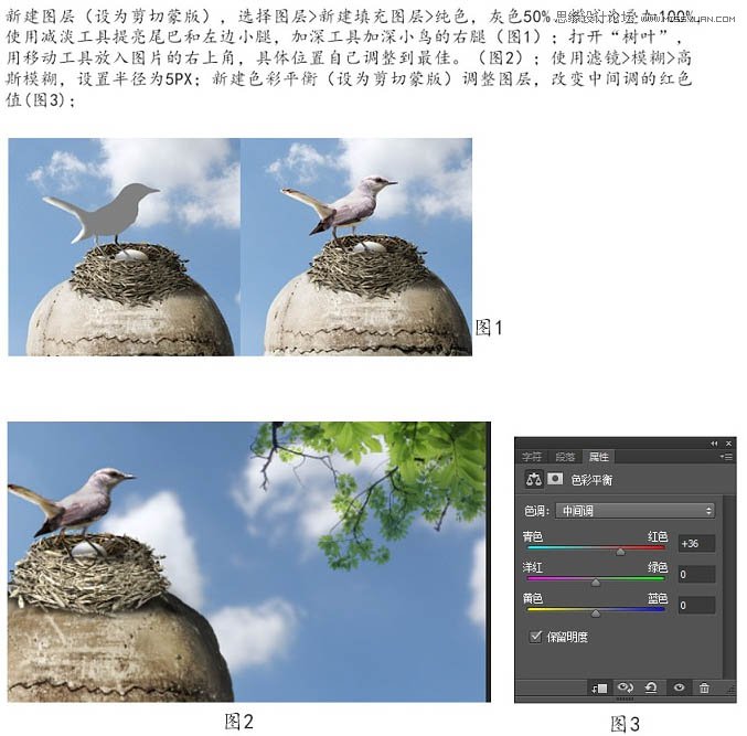 Photoshop合成创意的骷髅头和鸟窝效果图,PS教程,图老师教程网
