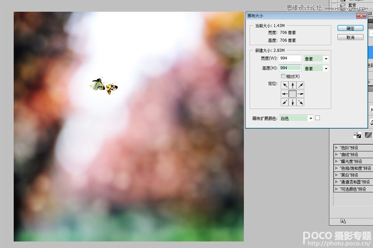 Photoshop合成绚丽背景前飞舞的蝴蝶教程,PS教程,图老师教程网