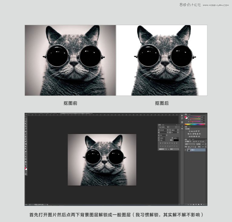Photoshop巧用通道给猫咪图片抠图,PS教程,图老师教程网