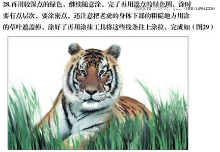 Photoshop手绘草丛中的老虎插画,PS教程,图老师教程网