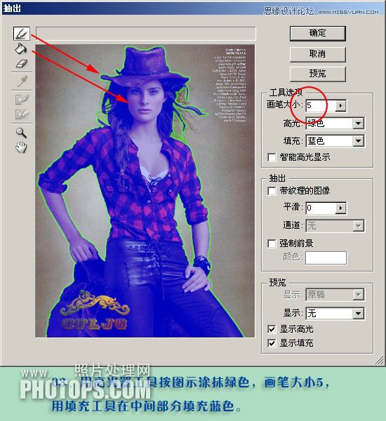 Photoshop使用抽出滤镜精细抠出人物发丝,PS教程,图老师教程网