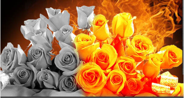 Photoshop制作烈焰中燃烧的玫瑰效果图,PS教程,图老师教程网