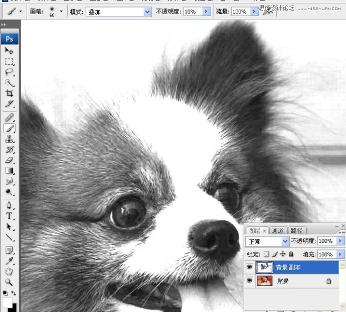 Photoshop使用通道混合器给狗狗抠图,PS教程,图老师教程网