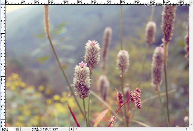 Photoshop调出植物图片日系小清新效果,PS教程,图老师教程网