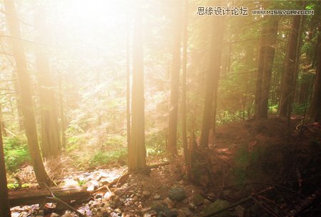 Photoshop给森林照片添加柔美的光线效果,PS教程,图老师教程网