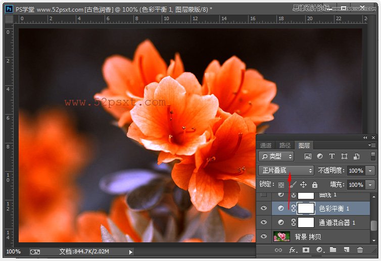 Photoshop调出花朵照片欧美金色效果,PS教程,图老师教程网