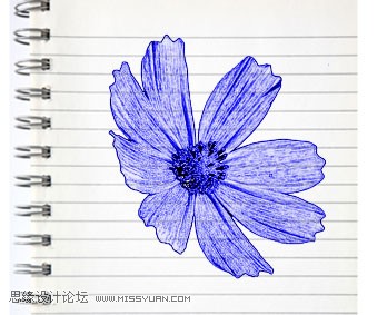 Photoshop制作蓝色圆珠笔手绘花朵照片,PS教程,图老师教程网