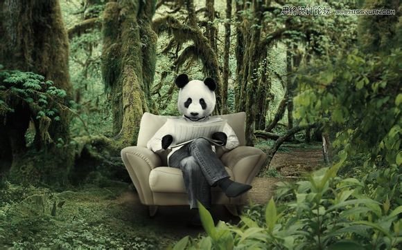 Photoshop合成做在森林中看书的熊猫人,PS教程,图老师教程网